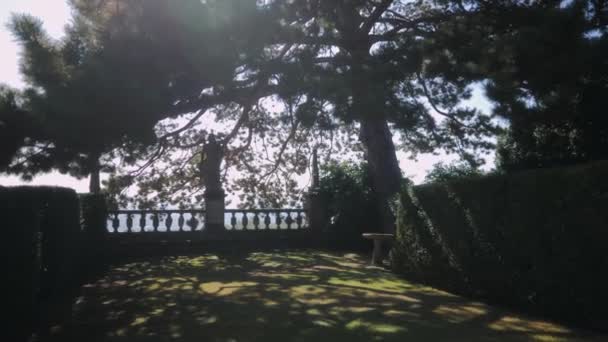 Promienie Słońca Przechodzą Przez Gałęzie Posąg Kobiety Stary Pomnik Włoski — Wideo stockowe