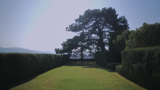 Italiaanse Hof Een Villa Landhuis Italiaanse Dennenboom Naaldbomen Zomer Klassieke — Stockvideo