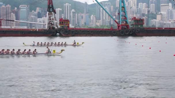Victoria Harbour Hongkong Februar 2024 Internationales Drachenbootrennen Hongkong Repräsentative Drachenbootteams — Stockvideo