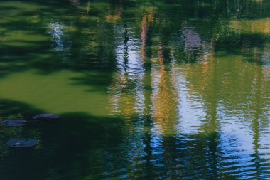 Göletin sakin sahnesi, hem gökyüzünü hem de ağaçların gölgesini yansıtan ışıldayan su tarafından ustalıkla çekiliyor. Su yüzeyindeki yansımalardan soyut arkaplan.