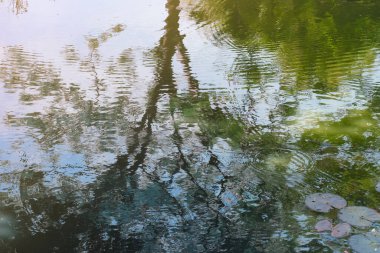 Göletin sakin sahnesi, hem gökyüzünü hem de ağaçların gölgesini yansıtan ışıldayan su tarafından ustalıkla çekiliyor. Su yüzeyindeki yansımalardan soyut arkaplan.