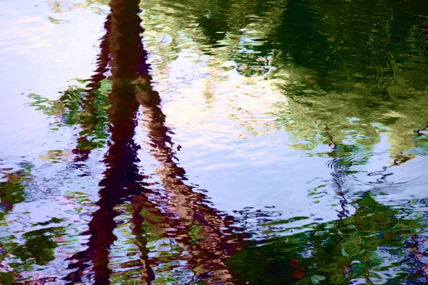 Die Ruhige Szenerie Des Teiches Wird Kunstvoll Vom Schimmernden Wasser — Stockfoto