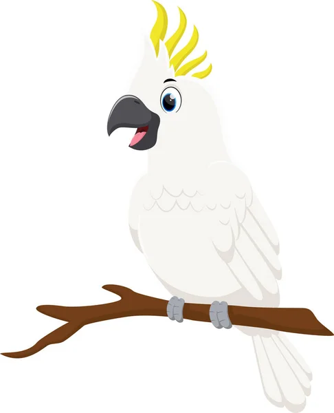 Vector Illustration Cartoon Cute Parrot Cockatoo Branch — 스톡 벡터