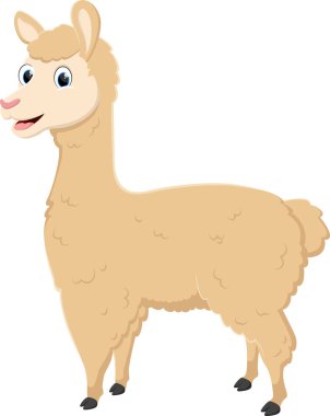 Lama çizgi filminin vektör illüstrasyonu beyaz arkaplanda izole edildi