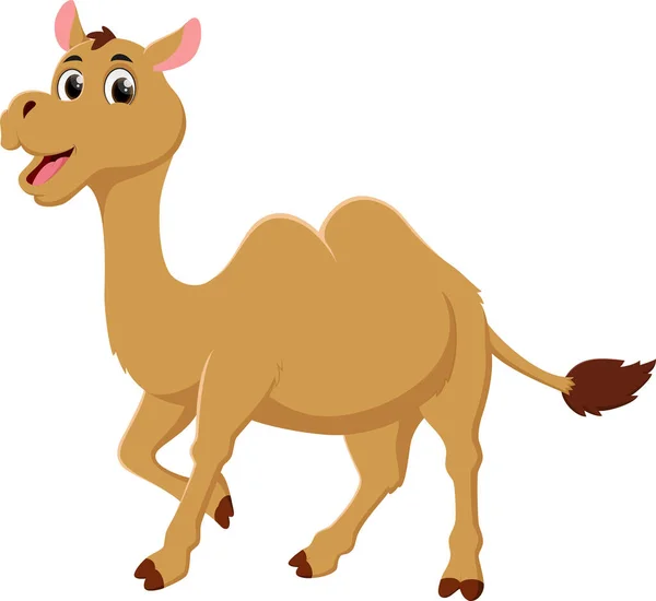 Ilustración Vectorial Lindo Camello Dibujos Animados Aislado Sobre Fondo Blanco — Vector de stock