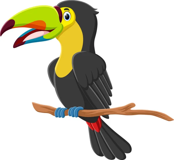 Ilustração Vetorial Desenhos Animados Bonito Pássaro Tucano Isolado Branco — Vetor de Stock