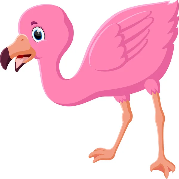 Beyaz Üzerine Izole Edilmiş Şirin Flamingo Çizgi Filminin Vektör Çizimi — Stok Vektör