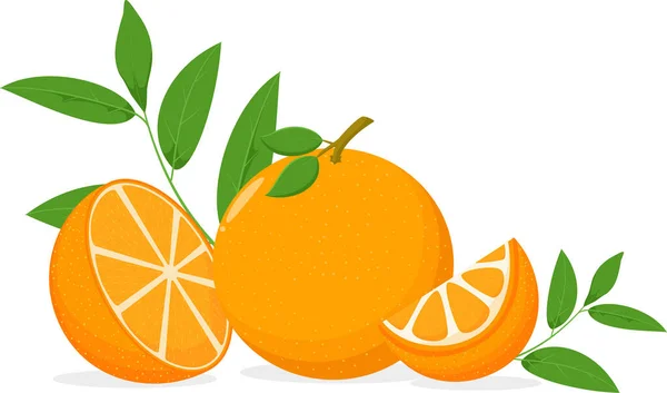 Illustration Vectorielle Ensemble Orange Avec Tranche Isolée Sur Blanc — Image vectorielle
