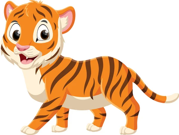 Illustration Vectorielle Tigre Beauté Bande Dessinée Isolé Sur Fond Blanc — Image vectorielle