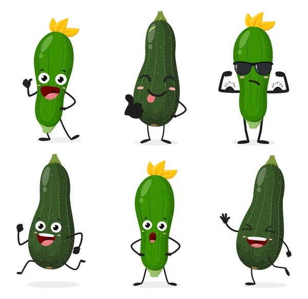 Vector Illustration Von Cartoon Zucchini Squash Gemüse Zeichensatz — Stockvektor