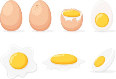 Çizgi film yumurtasının vektör çizimi, kızarmış, haşlanmış, yarısı dilimlenmiş yumurta, beyaz arka planda izole edilmiş.