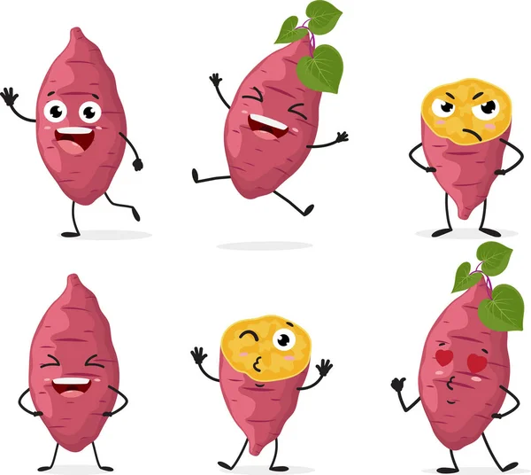 Vector Illustration Sweet Potato Cartoon Character Set Isolated White Background — Stock Vector