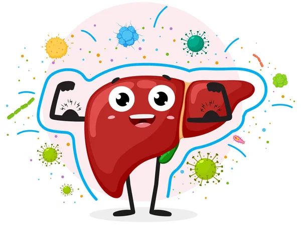 Dokunulmazlık savunma çizgi filmi karakteri beyaz arka planda izole edilmiş sağlıklı karaciğerin vektör çizimi