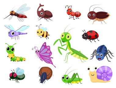 Böcek çizgi film koleksiyonları, sevimli kelebekler, karıncalar, sinekler, böcekler, arı, yusufçuk, örümcek, uğur böceği, çekirge, tırtıl, solucan, salyangoz ve böcek