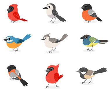 Beyaz arka planda izole edilmiş şirin kış kuşları çizgi filminin temsilcisi.