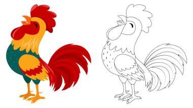 Çizgi film sevimli horozunun Vektör İllüstrasyonu, çocukların eğitim çizim sayfası