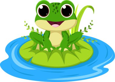 Göletteki bir yaprağın üzerinde oturan Kurbağa 'nın Vektör İllüstrasyonu, beyaz arkaplanda izole edilmiş karikatür çizimi