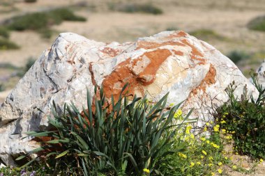 Kuzey İsrail 'de deniz kenarındaki bir şehir parkında taşlar.