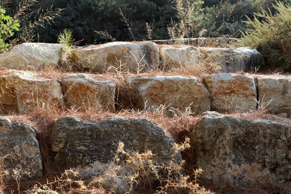以色列北部一个海滨公园里的石头 — 图库照片