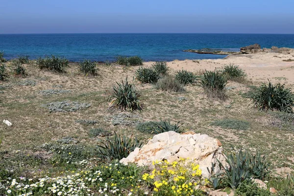 以色列北部一个海滨公园里的石头 — 图库照片