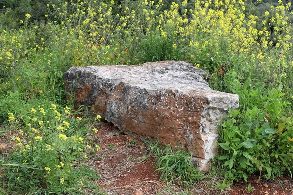 Pedras Parque Cidade Junto Mar Norte Israel — Fotografia de Stock