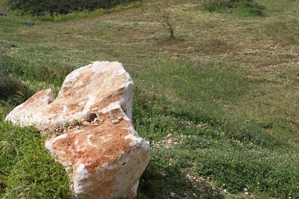 Steine Einem Stadtpark Meer Norden Israels — Stockfoto