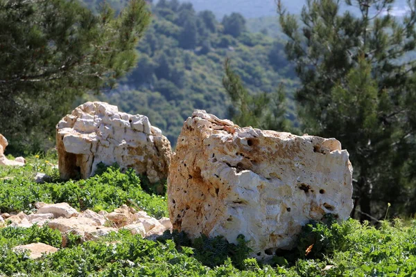 Pedras Parque Cidade Junto Mar Norte Israel — Fotografia de Stock