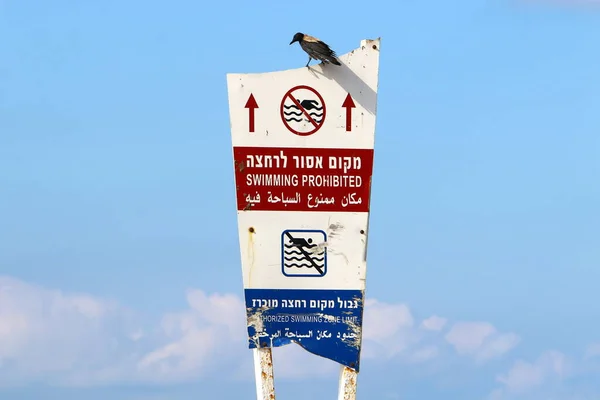 Drogowy Znak Informacyjny Zainstalowany Poboczu Drogi Izraelu — Zdjęcie stockowe