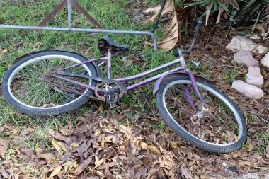 Şehir parkında deniz kenarında bisiklet..