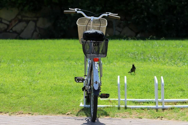 Vélo Dans Parc Ville Près Mer — Photo