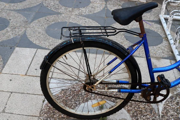 กรยานในสวนสาธารณะใกล ทะเล — ภาพถ่ายสต็อก