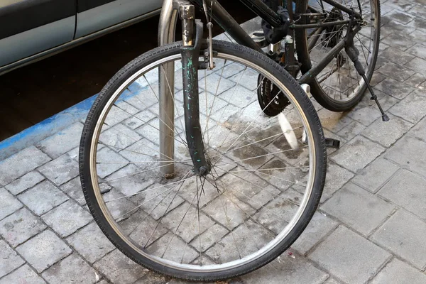 Велосипед Міському Парку Біля Моря — стокове фото