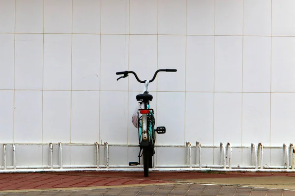 Bicicleta Parque Cidade Perto Mar — Fotografia de Stock