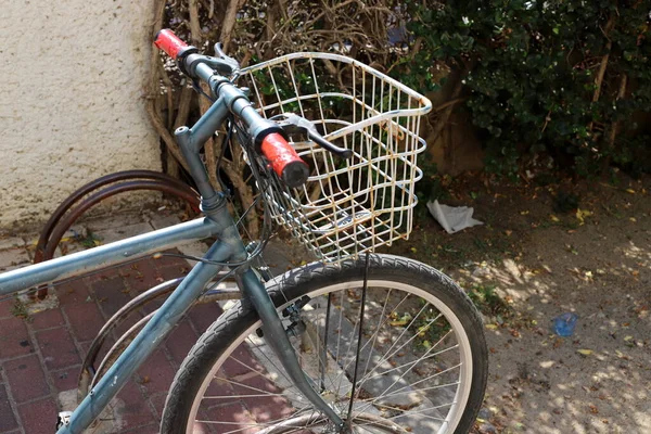 Bicicleta Parque Ciudad Cerca Del Mar — Foto de Stock