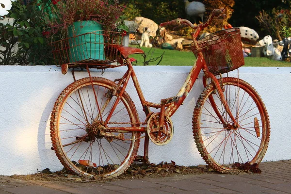 Fahrrad Stadtpark Meer — Stockfoto