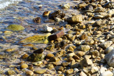 Akdeniz kıyısında taşlar var..