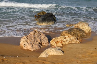 Akdeniz kıyısında taşlar var..