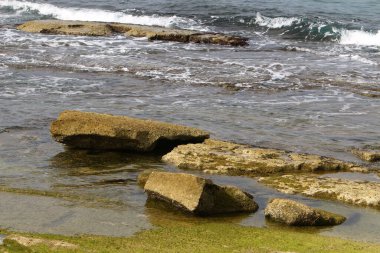 Akdeniz kıyısında taşlar var..