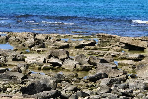 Πέτρες Στην Ακτή Της Μεσογείου — Φωτογραφία Αρχείου