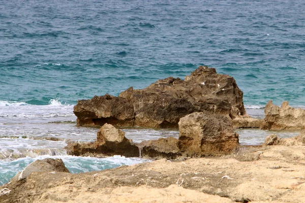 Steine Ufer Des Mittelmeeres — Stockfoto