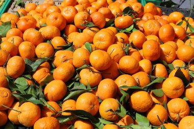 İsrail 'de bir pazarda taze sebze ve meyve satılıyor..