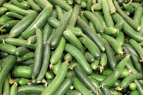 Verse Groenten Fruit Worden Verkocht Een Bazaar Israël — Stockfoto