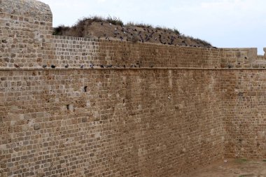 İsrail 'in deniz kıyısındaki antik bir kalenin taş duvarı.