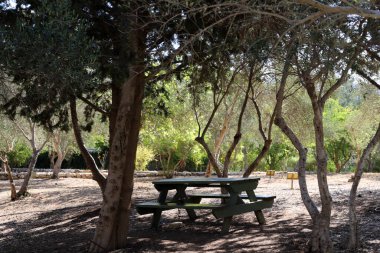 Deniz kıyısındaki şehir parkında dinlenmek için bankta..