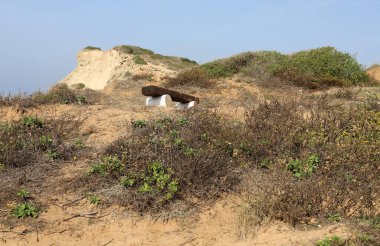 Deniz kıyısındaki şehir parkında dinlenmek için bankta..