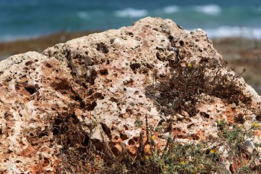 Taşların ve kayaların dokusu. Soyut taş arkaplanı.