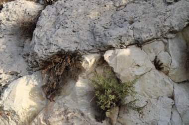 Taşların ve kayaların dokusu. Soyut taş arkaplanı.