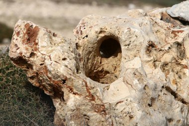 Taşların ve kayaların dokusu. Soyut taş arkaplanı.