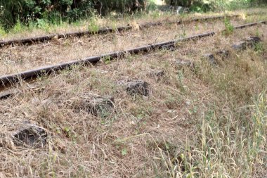 Fragments of the old railway from Haifa to Damascus.