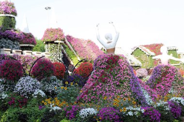 Dubai UAE 07 . 12 . 2022 . Plants and flowers in the Miracle Garden in Dubai.
